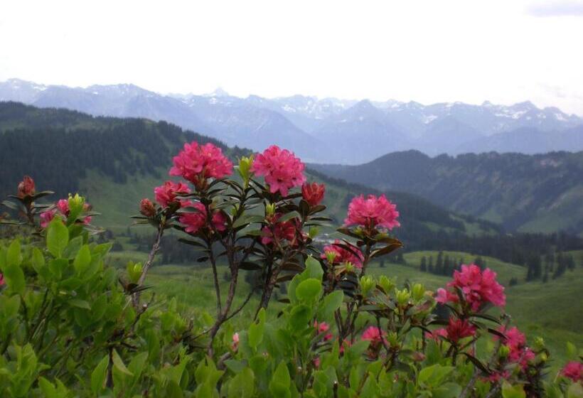 ペンション Riedbergerhorn   Gasthof & Ferienwohnungen