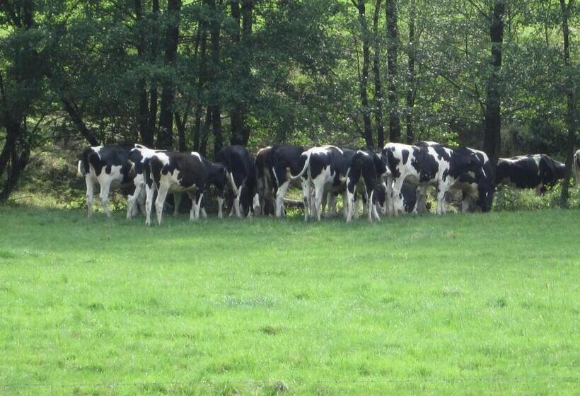 Pension Gästehaus Waldhof