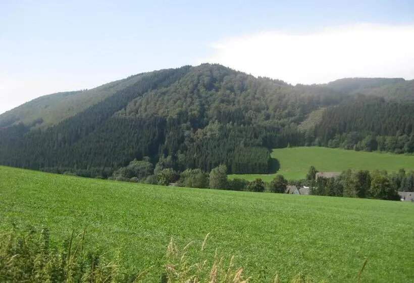 Pension Gästehaus Waldhof