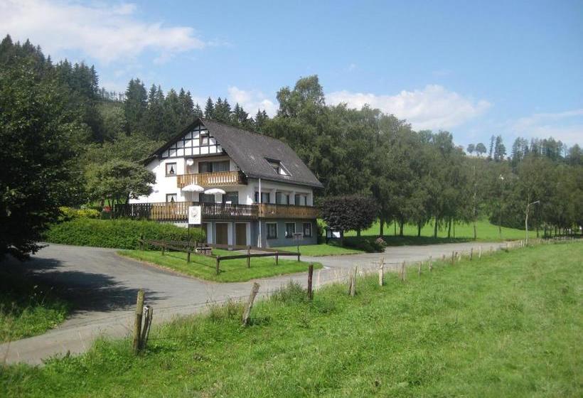Pension Gästehaus Waldhof