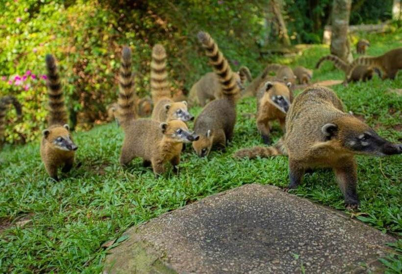 膳宿费 Aldeia Parque Pousada Rural