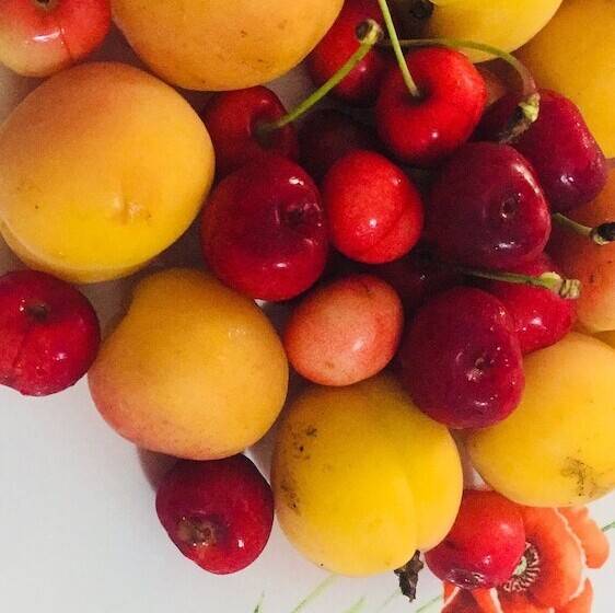 膳宿费 Denis Guest House