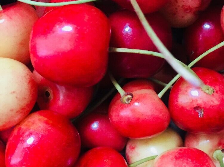 膳宿费 Denis Guest House