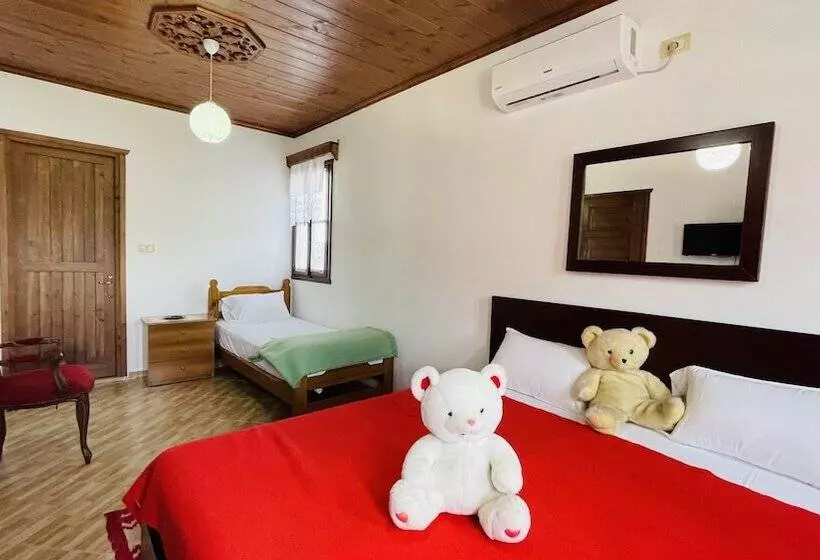 ペンション Denis Guest House