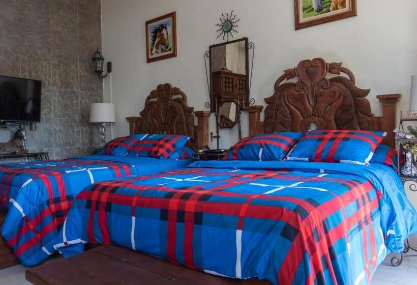 פנסיון El Jardín Del Edén B&b Boutique