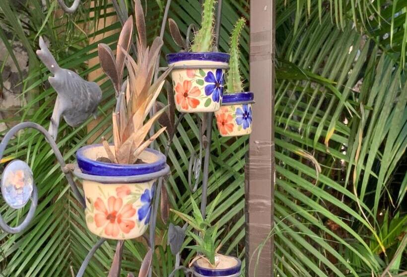 פנסיון El Jardín Del Edén B&b Boutique