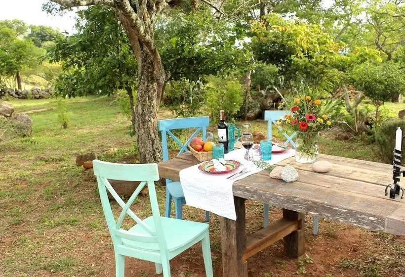 ペンション Finca San Pedro