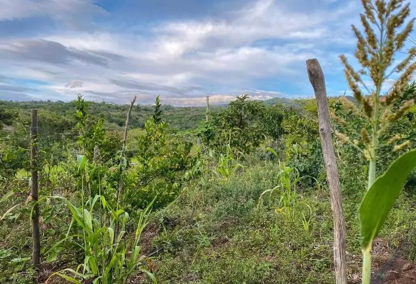 ペンション Finca San Pedro