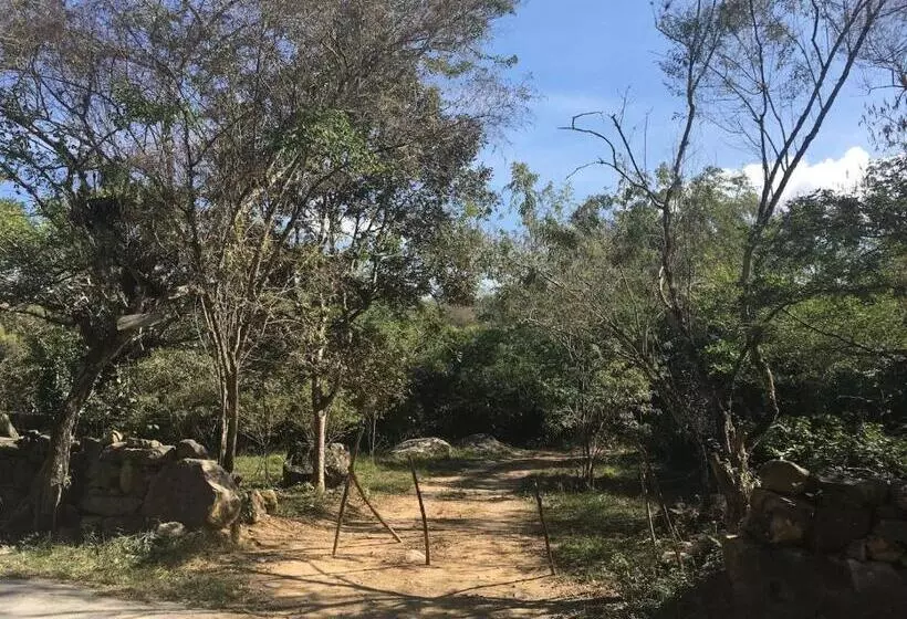 ペンション Finca San Pedro