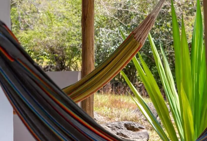 ペンション Finca San Pedro