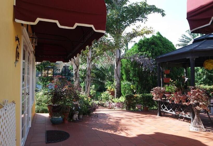 پانسیون Kiskadee Korner