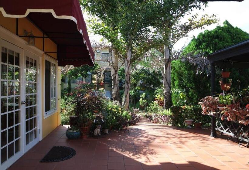 پانسیون Kiskadee Korner