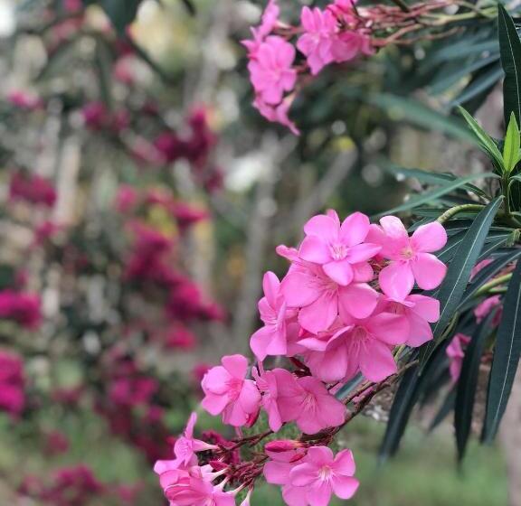 Пансион Relax Resort