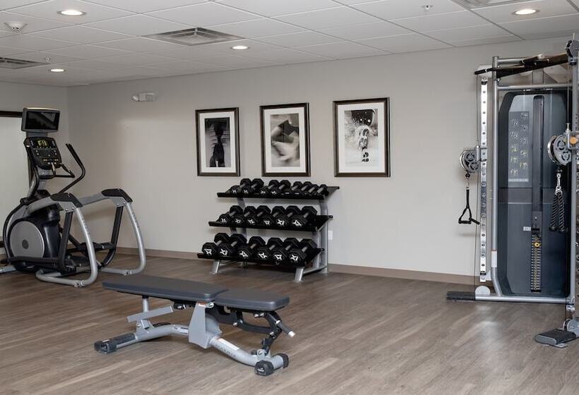 Отель Staybridge Suites Auburn Hills, An Ihg