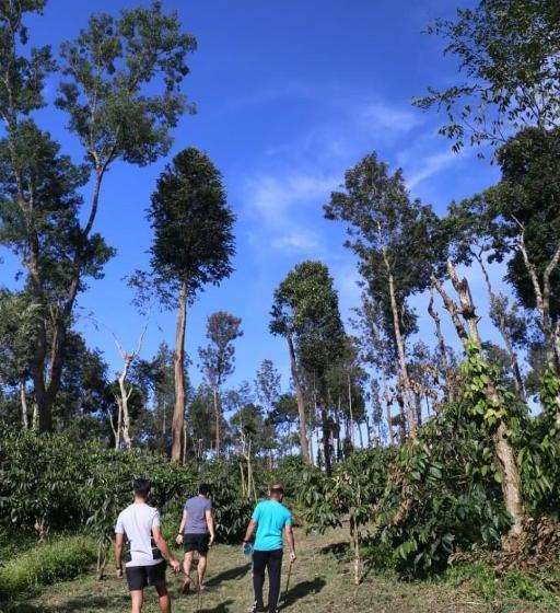 Pensão Coorg Kolamotte