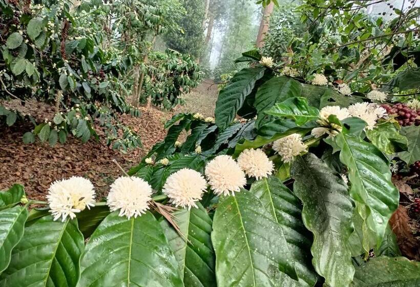 Pensão Coorg Kolamotte