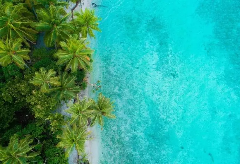 پانسیون Kriulhiya Maldives