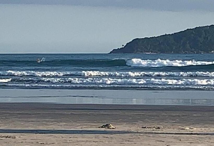 Пансион Pousada Villa Blu Maresias