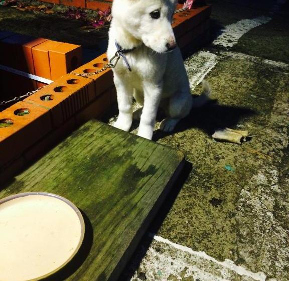 Pensione Geoje Ton Ton Guesthouse