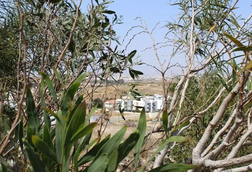 Costas Hostel Action