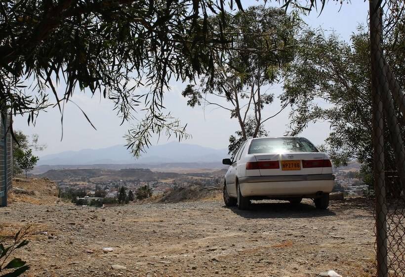 Costas Hostel Action