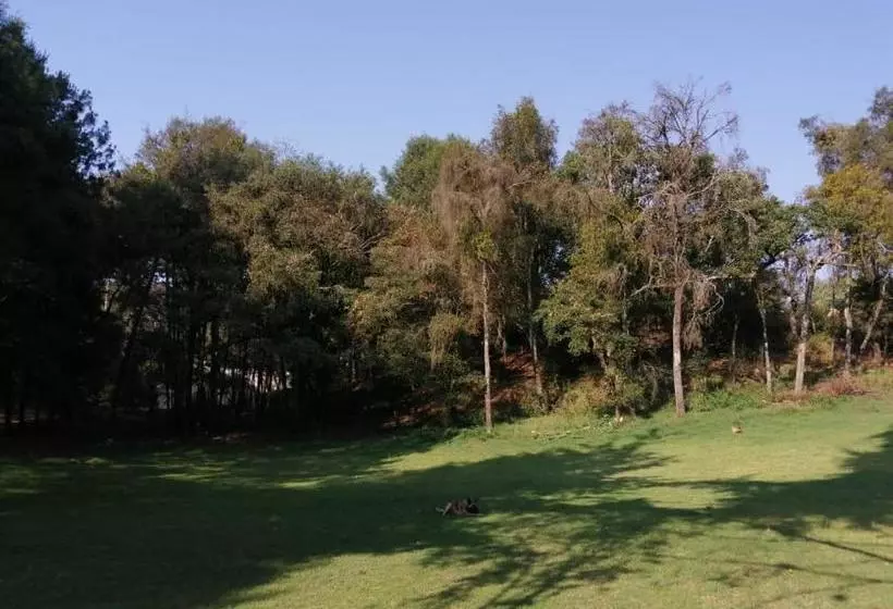 ペンション Bosques