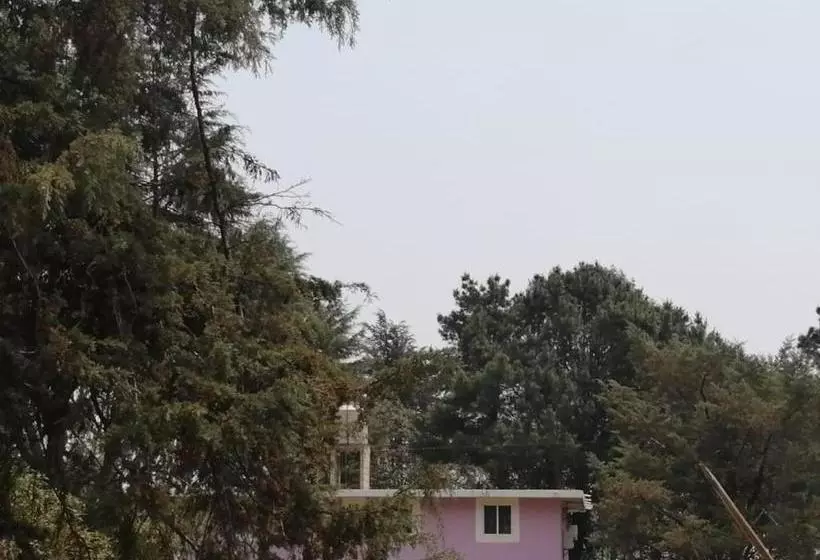 ペンション Bosques