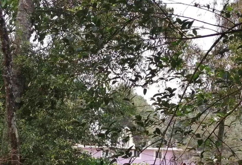 ペンション Bosques