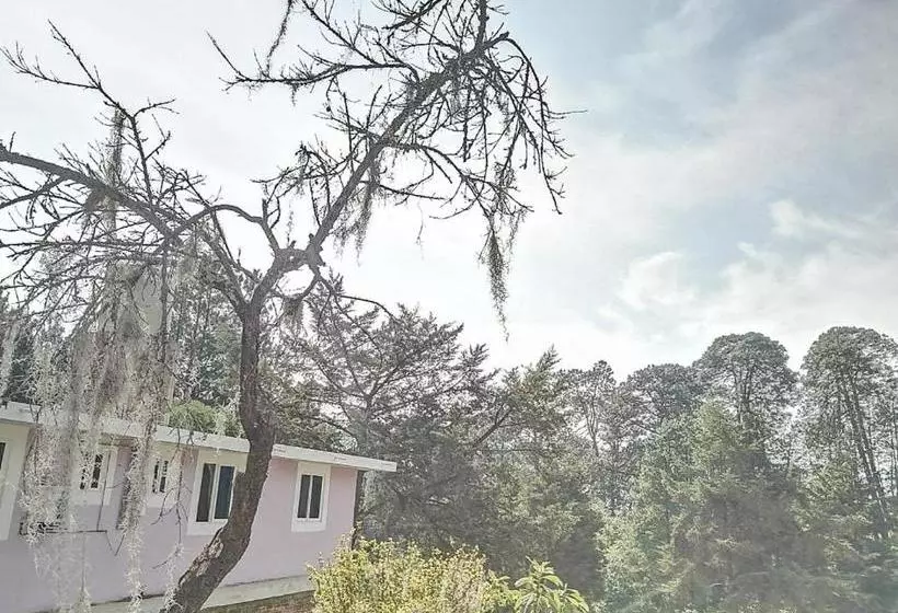 ペンション Bosques