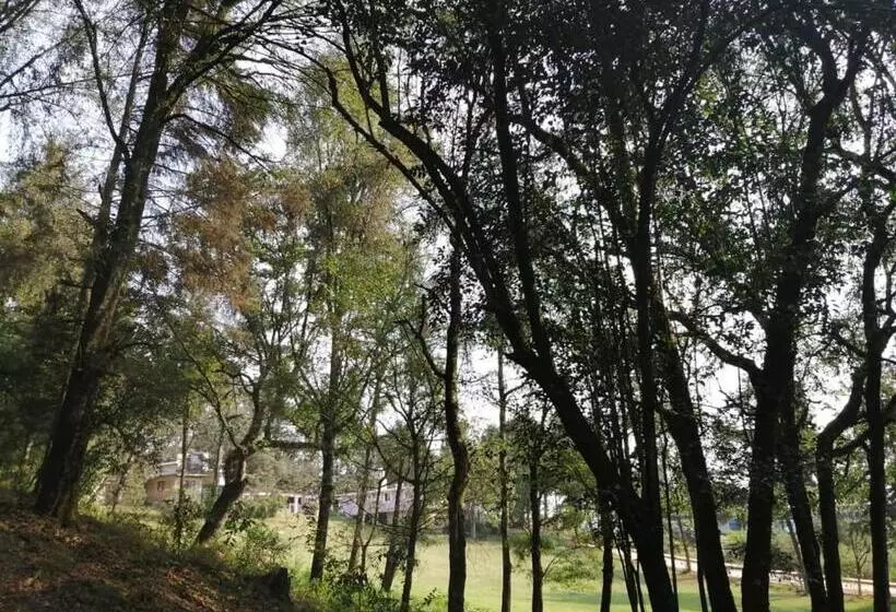 ペンション Bosques