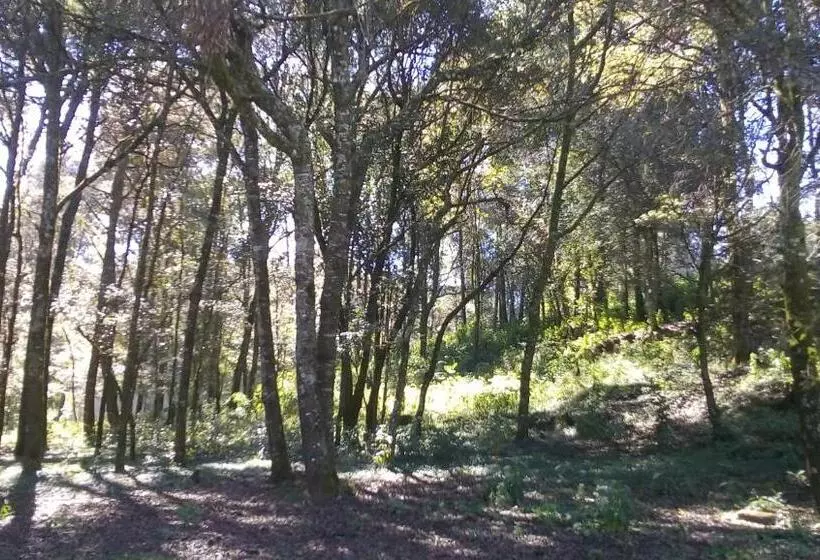 ペンション Bosques