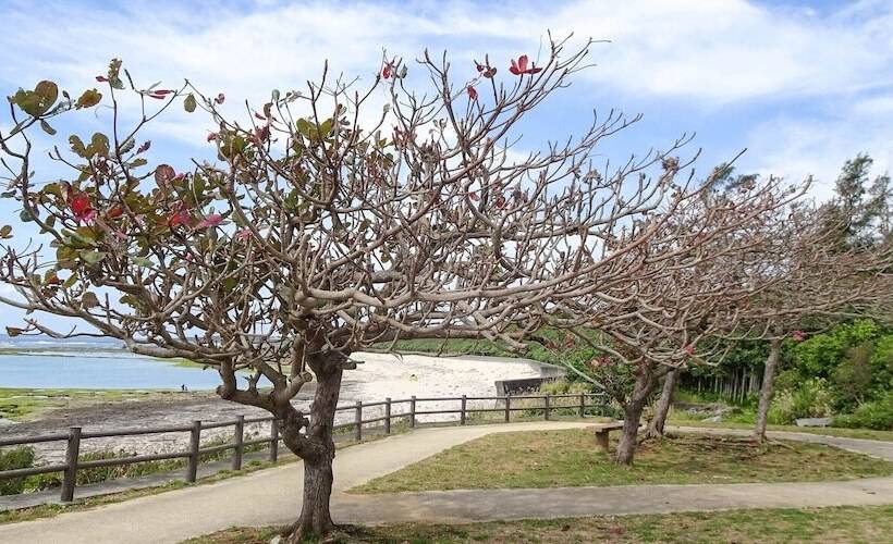 펜션 Minshuku Itoman Bettei Goyukkuri