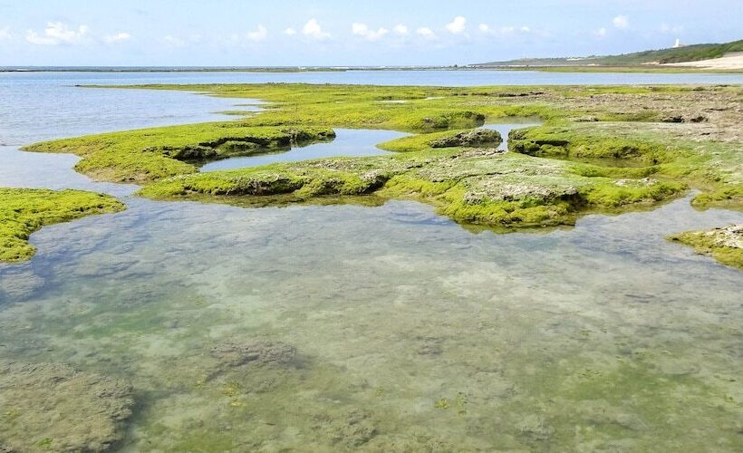 펜션 Minshuku Itoman Bettei Goyukkuri