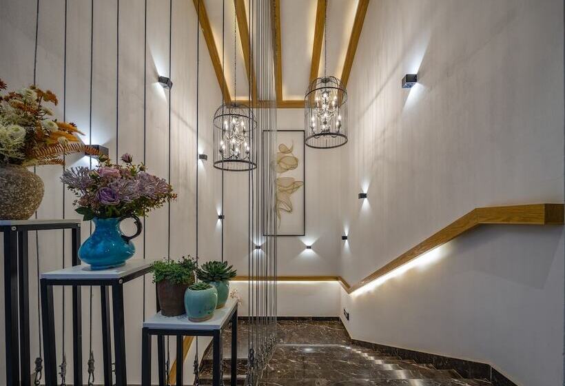 Пансион Baiduju