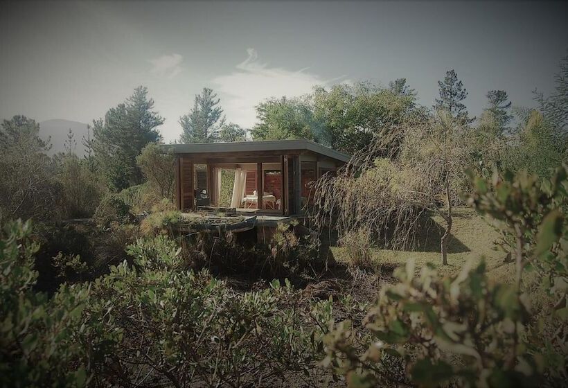 بنسيون Forest Nature Spa