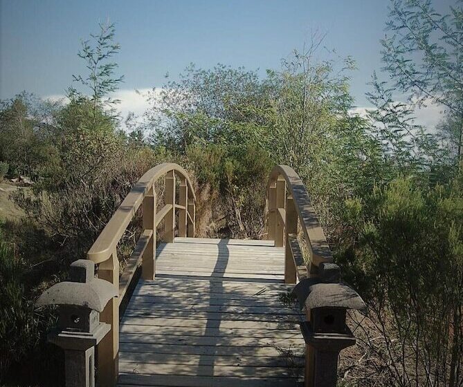 بنسيون Forest Nature Spa