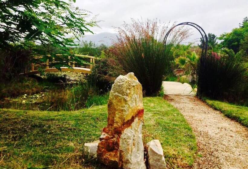 بنسيون Forest Nature Spa