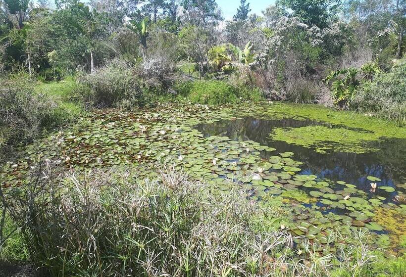 بنسيون Forest Nature Spa