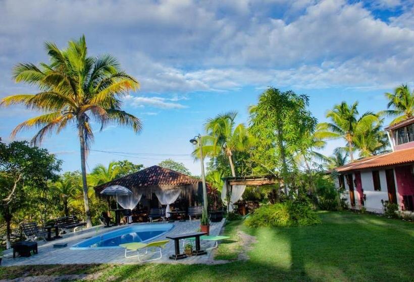 膳宿费 Nossa Senhora Aparecida