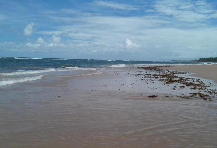 膳宿费 Nossa Senhora Aparecida