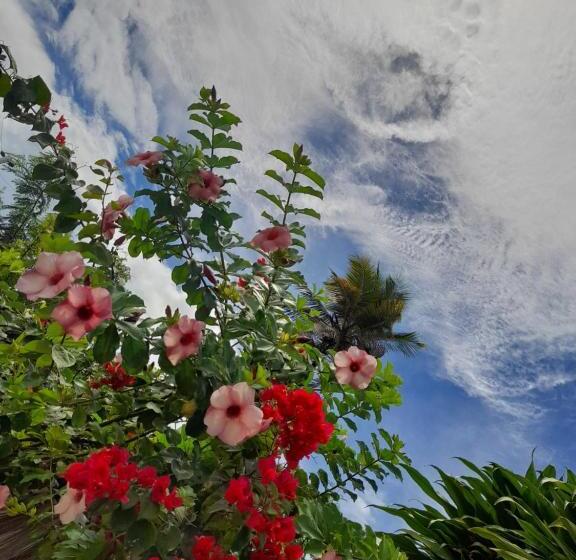 فندق صغير Pousada Tartaruga Cumbuco