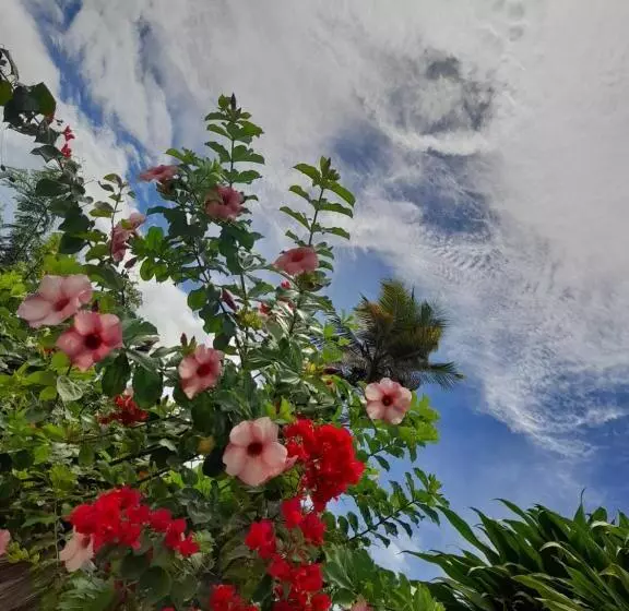 ユースホステル Pousada Tartaruga Cumbuco