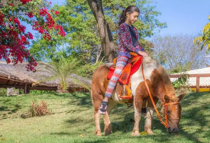 ホテル Fazenda Cachoeiras Serra Da Bodoquena
