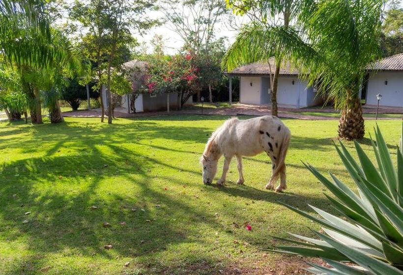 호텔 Fazenda Cachoeiras Serra Da Bodoquena