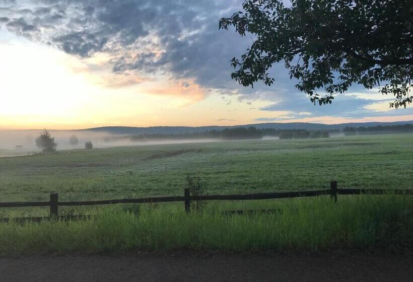 Billie's Backpackers Hostel