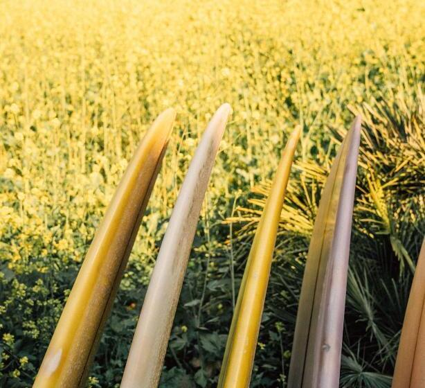 فندق The Surfrider Malibu