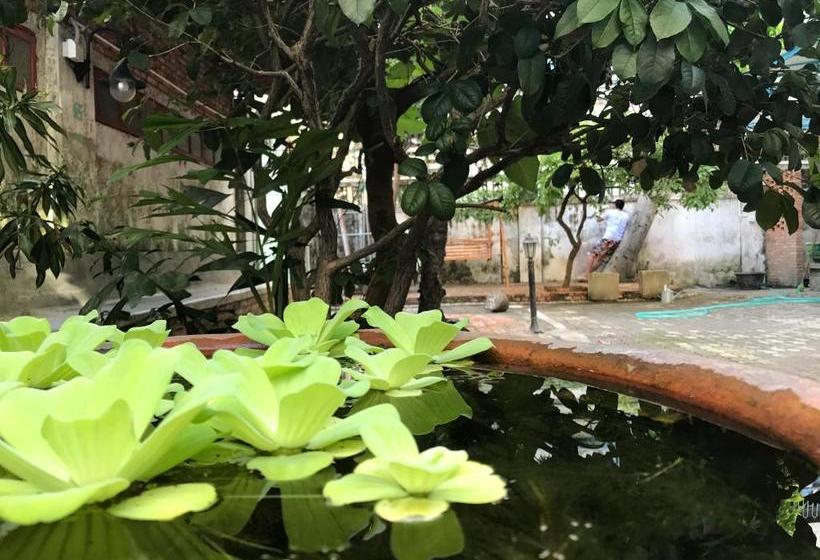 No. 6 Cuobian Hostel