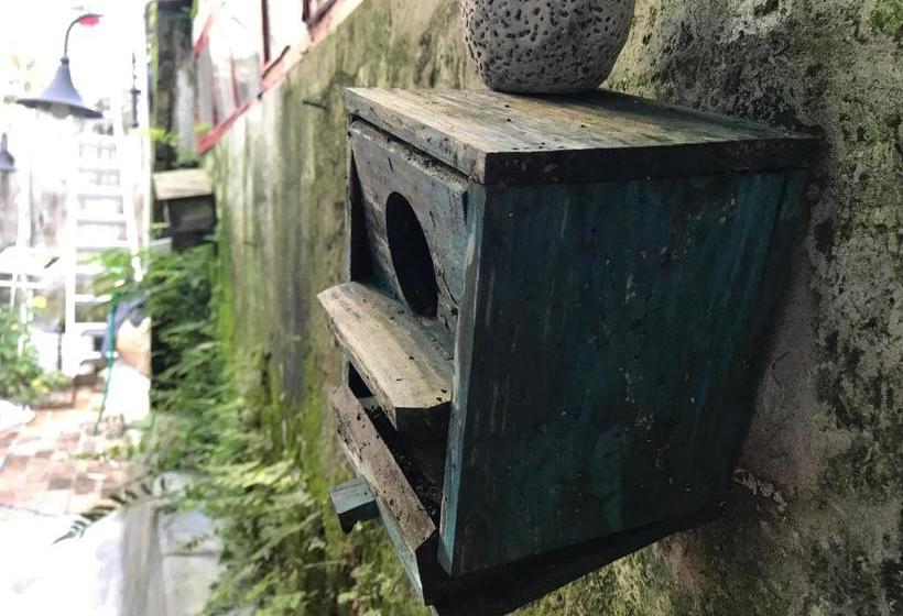 No. 6 Cuobian Hostel