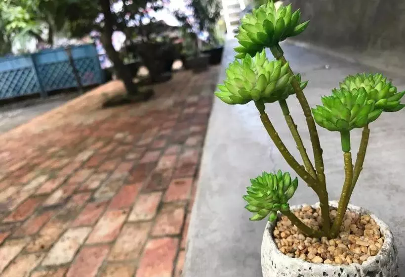 No. 6 Cuobian Hostel