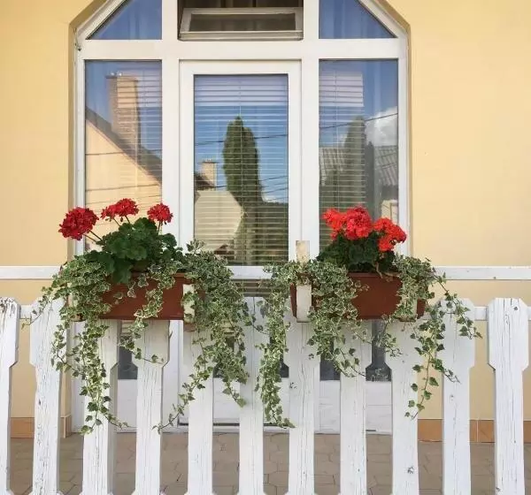 ペンション Eva Rooms